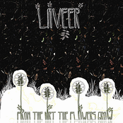 From the Dirt the Flowers Grow