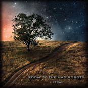 I Hide Light by Room Of The Mad Robots