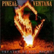 Man Lies by Pineal Ventana