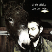 Sweet Release by Tindersticks