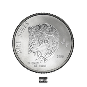 In Dimes We Trust