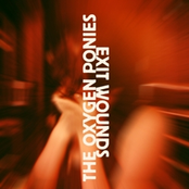 Exit Wounds (available 5/17/11)