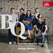 Foerster, Janáček, & Haas - Music for Wind Instruments (Belfiato Quintet)