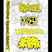 Precocious Gargling Audacity 4 way split