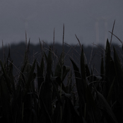 Serotonin (Radio Mix)