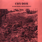 Scorched Earth Policy