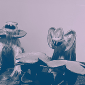 せんすい／ヒダリメの夏