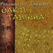 Mulungu do Cerrado