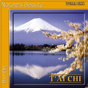 T'ai Chi