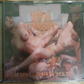 Octopus Lesbians Sex Toy