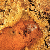 Pseudo-Volcanic Voices