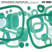 The Genius Of Bertrand Burgalat