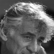 leonard bernstein: vienna philharmonic orchestra