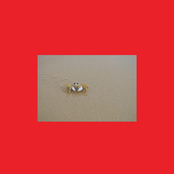 Pissy Pamper (They Tryna Be Cray)