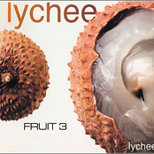 Fruit 3 - Lychee