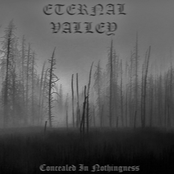 Concealed In Nothingnes