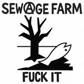 Fuck It
