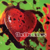 The Breeders - Last Splash Artwork