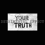 YOUR TRUTH