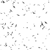 Reminders to Parallel