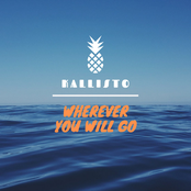 Wherever You Will Go