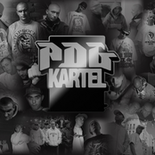 pdg kartel