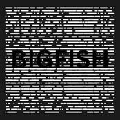 Big Fish