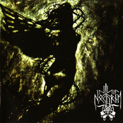 Wahnsinn. Tod. Verrat.