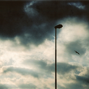 as language carves the world