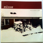 Stupid Heart by Nixon