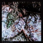 Into the Heartless Silence