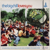 The Big Chill Loves You (Disc 2)