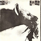 Brud Krou