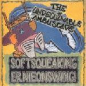 Softsqueekingernieonswing