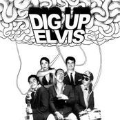 Dig Up Elvis