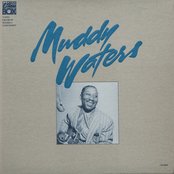 Muddy Waters - The Chess Box Artwork