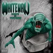 Voice From Backpack EP