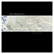 At The Poles (2007)