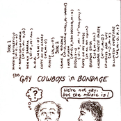 We're Not Gay, But the Music Is!