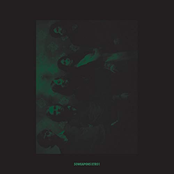 Tamer Animals - Atoms for Peace Remix