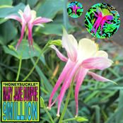 9Million: Honeysuckle