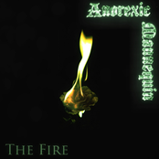 The Fire