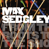 Celebrity by Max Sedgley