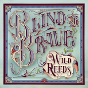 The Wild Reeds: Blind and Brave