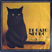 El Gato Negro