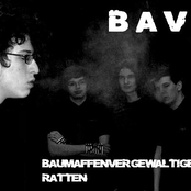 bavr