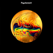 Psychonaut