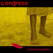 Angelita Huenuman by Congreso