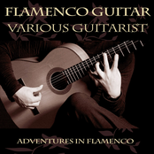recital de guitarra flamenca, volume 2