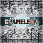 Chameleon
